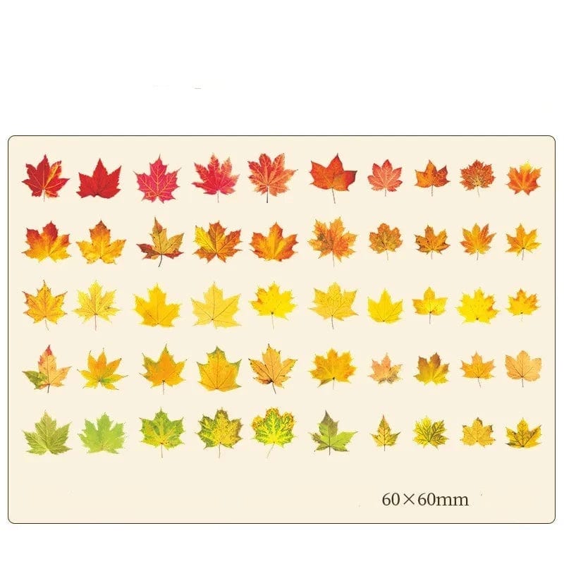 KUMA Stationery & Crafts  A Autumnal Palette Leaf Stickers 100pcs