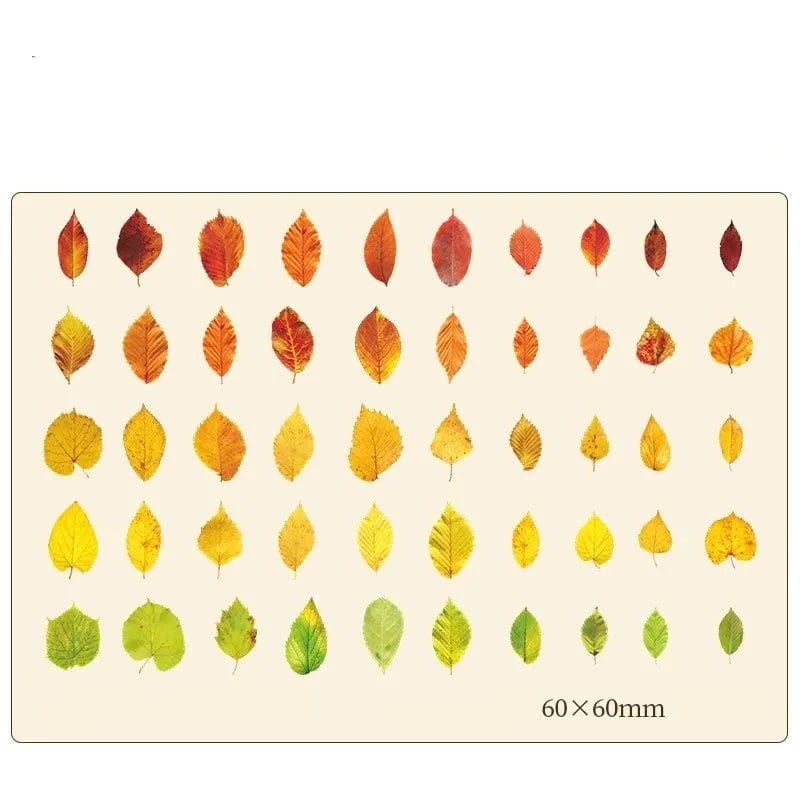KUMA Stationery & Crafts  D Autumnal Palette Leaf Stickers 100pcs