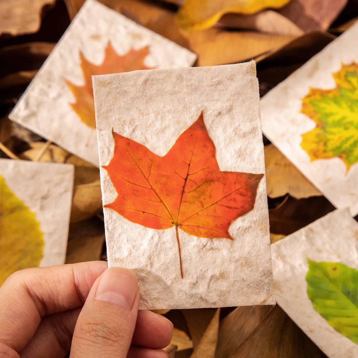 KUMA Stationery & Crafts  Autumnal Palette Leaf Stickers 100pcs
