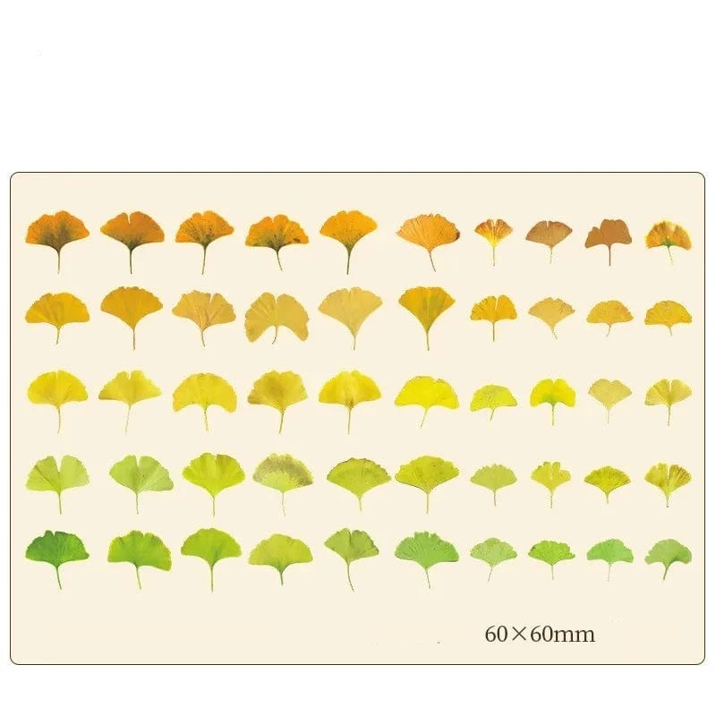 KUMA Stationery & Crafts  B Autumnal Palette Leaf Stickers 100pcs