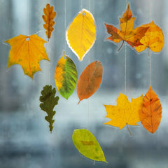 KUMA Stationery & Crafts  Autumnal Palette Leaf Stickers 100pcs