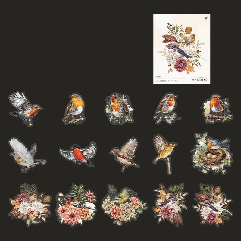 KUMA Stationery & Crafts  B Avian Artistry Watercolor Stickers