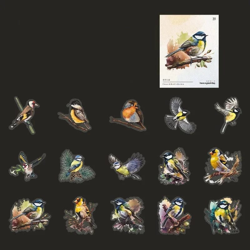 KUMA Stationery & Crafts  C Avian Artistry Watercolor Stickers
