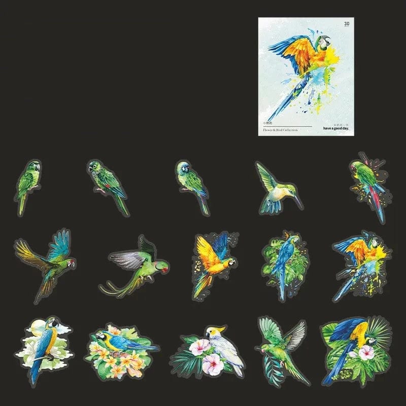 KUMA Stationery & Crafts  F Avian Artistry Watercolor Stickers